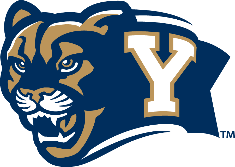Brigham Young Cougars 2010-2014 Secondary Logo t shirts iron on transfers